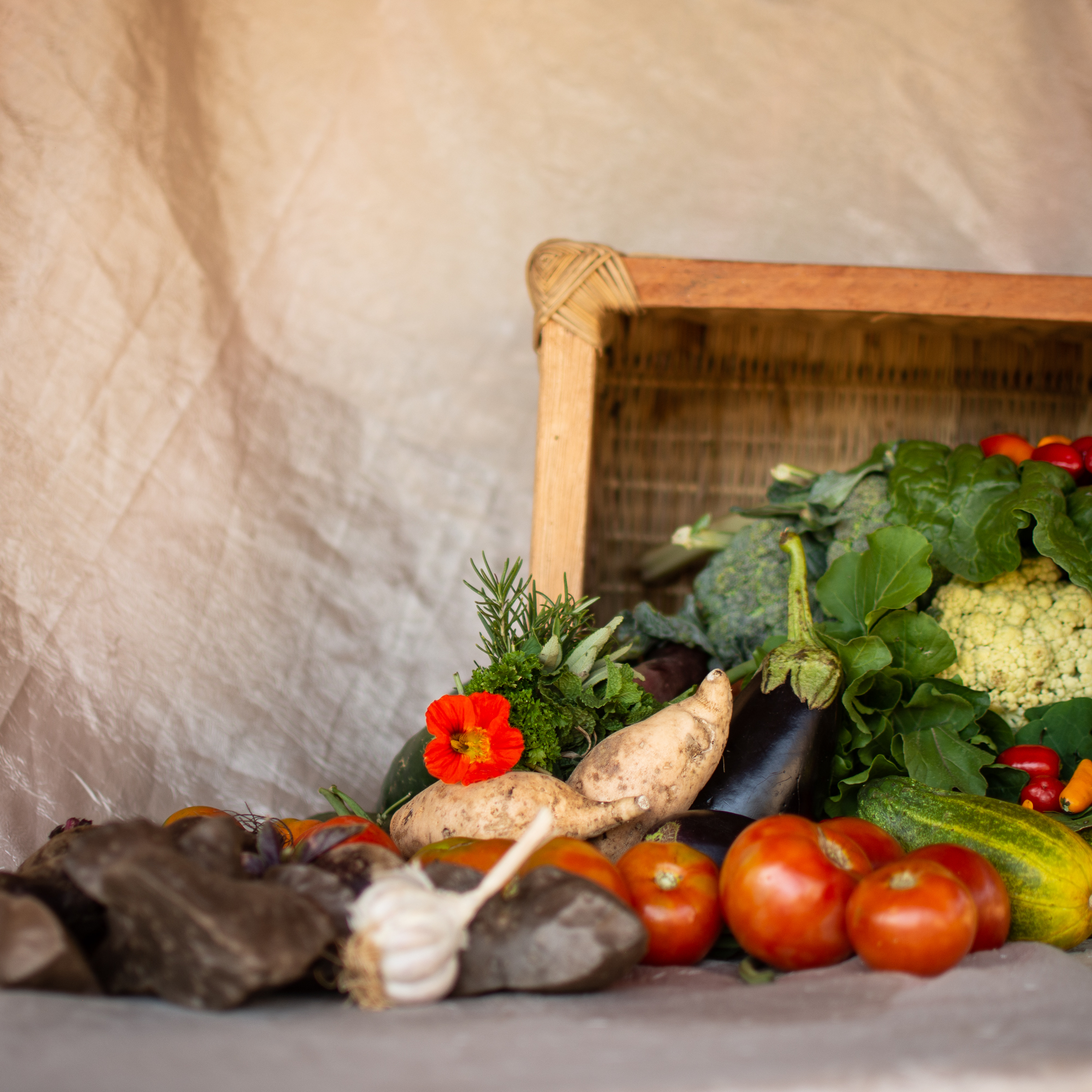 Seasonal Veggie Basket, Medium with Fruit Mix Ecolodgy Permaculture